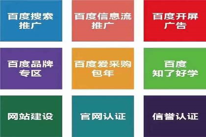 优化SEM竞价策略：成功案例剖析
